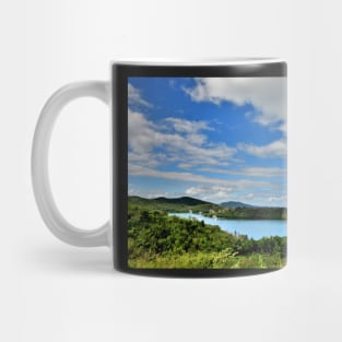 Lagon ile de Busuanga Conception, Philippines Mug